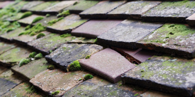 Arthingworth roof repair costs